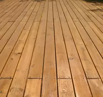 "מומלץ להתמקד בסוג העץ העמיד ביותר שתוכלו להרשות לעצמם"